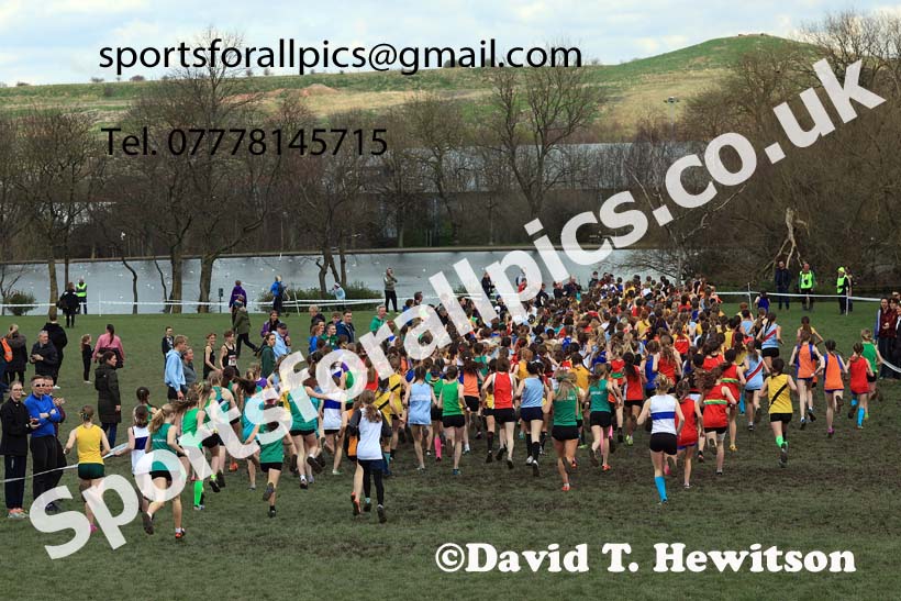 Junior Girls 2024 English Schools Cross Country Champs., Pontefract, March 16th.  Photo: David T. Hewitson/Sports for All Pics